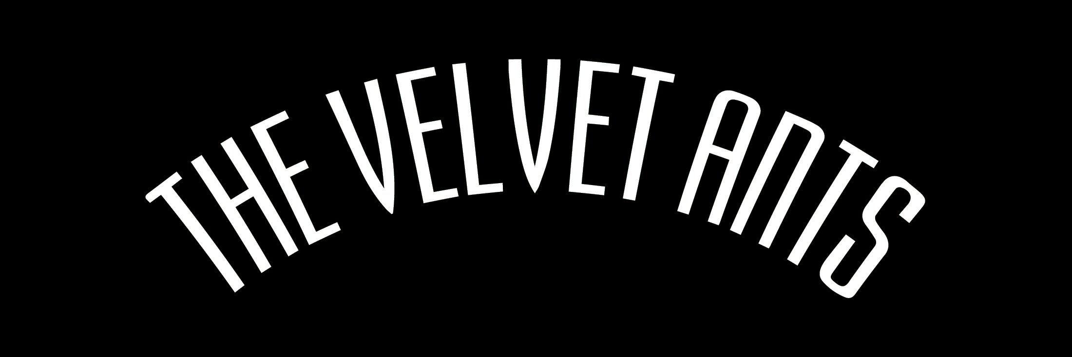 VelvetAnts's profile banner image