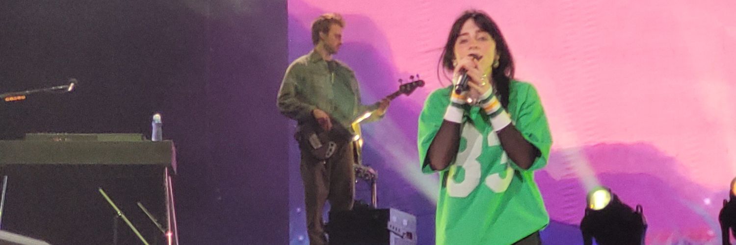 ƎƆIꓶⱯ little monster banner