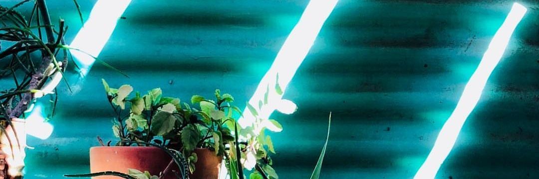 LucasRVara2's profile banner image