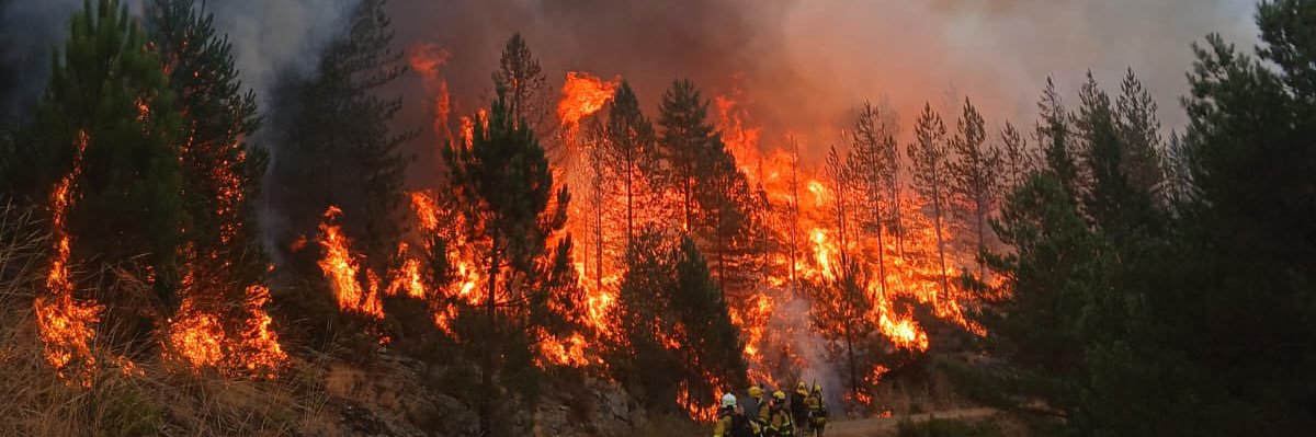 Luis H González banner