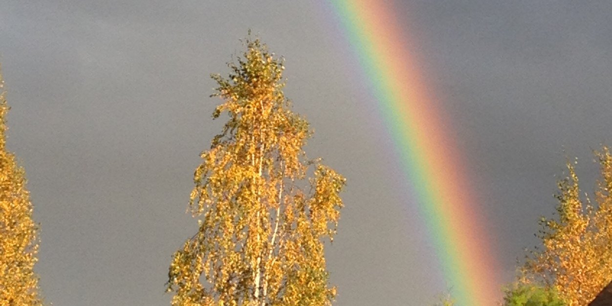 MardMrd's profile banner image