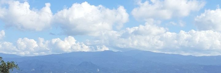 nsuci_r's profile banner image
