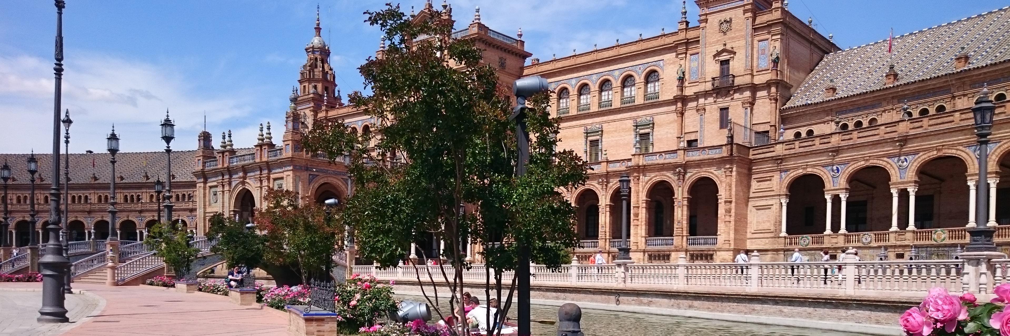 Carminissima's profile banner image