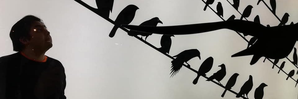 Melocrab's profile banner image