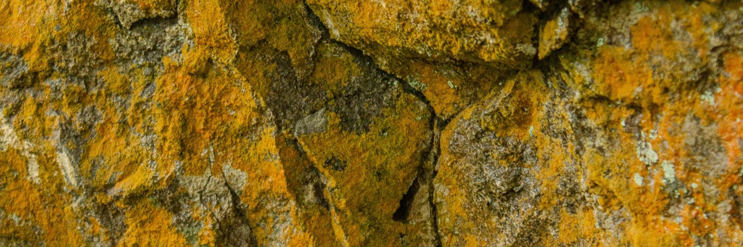 josumilan's profile banner image