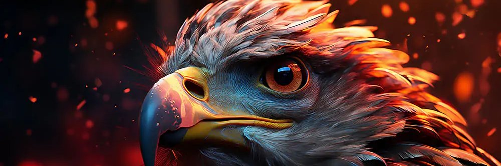 Kadomadoz's profile banner image