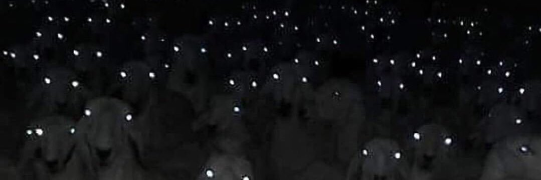 GowoonJeon's profile banner image