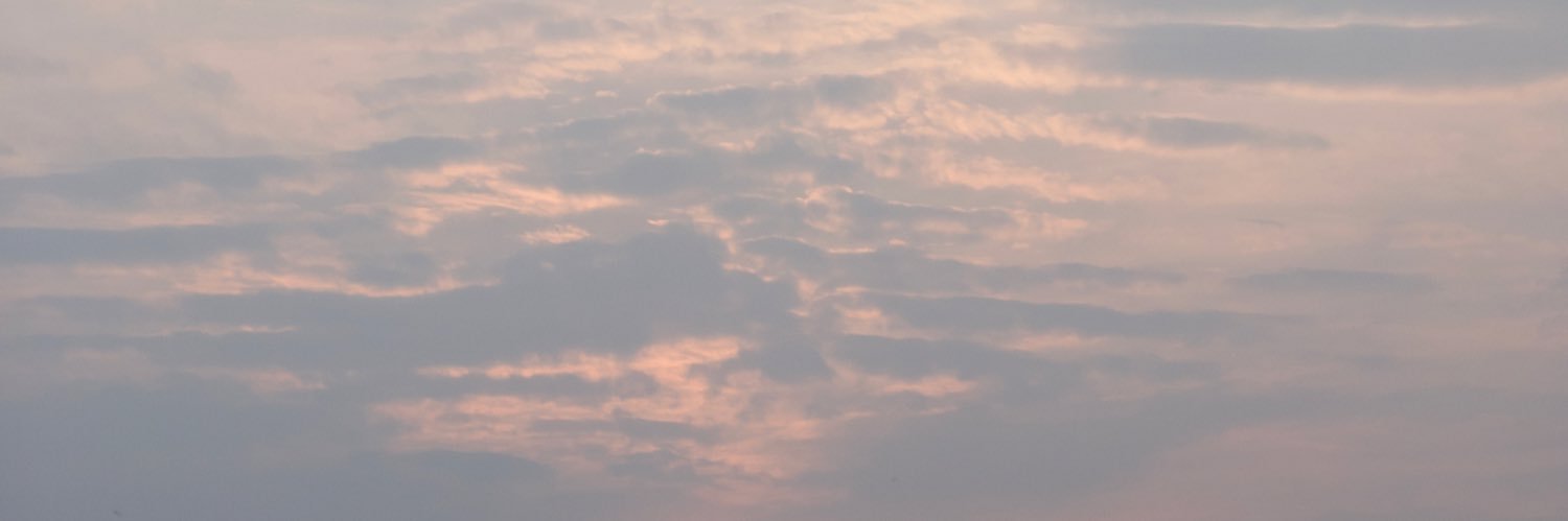 pegyov's profile banner image