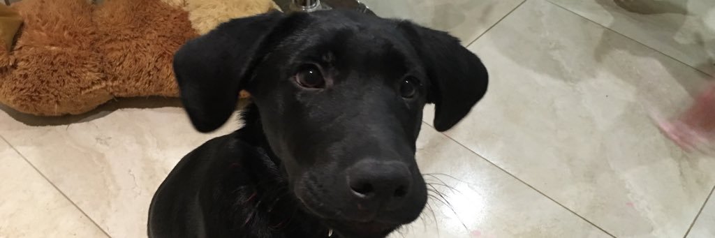 Melviba's profile banner image