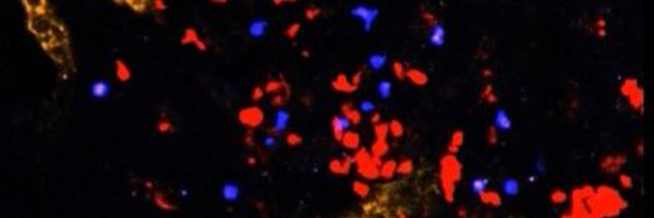 BdeAlbuquerqueJ Profile Banner