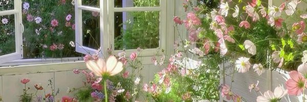 strrowbeyi Profile Banner