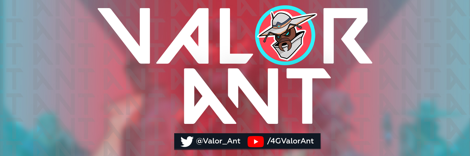Valor Ant banner