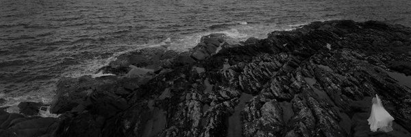 AllisonScott87 Profile Banner