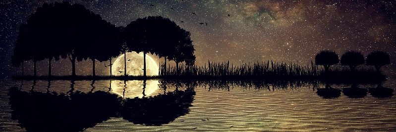 time4bedlam's profile banner image