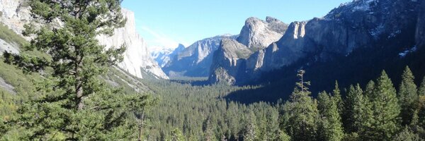 Roy_C5 Profile Banner