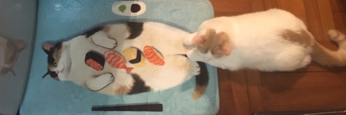oddeyedcorn's profile banner image