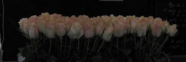 _KNOPA_T's profile banner image