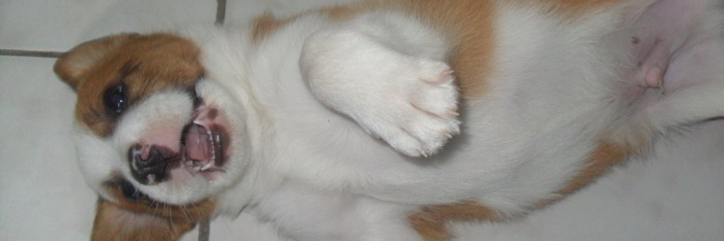 millajbarreto's profile banner image