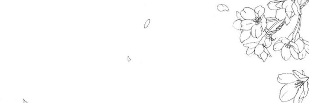 mol__1993's profile banner image