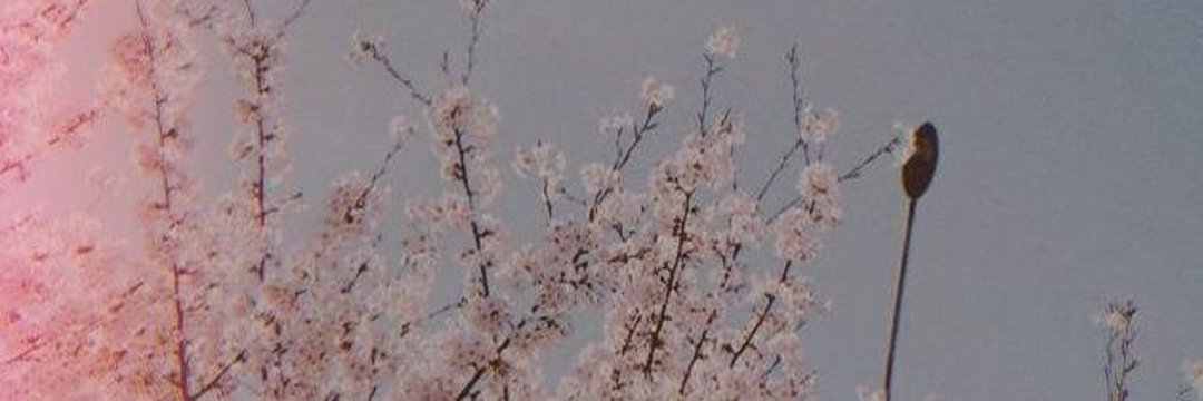 brattytete's profile banner image