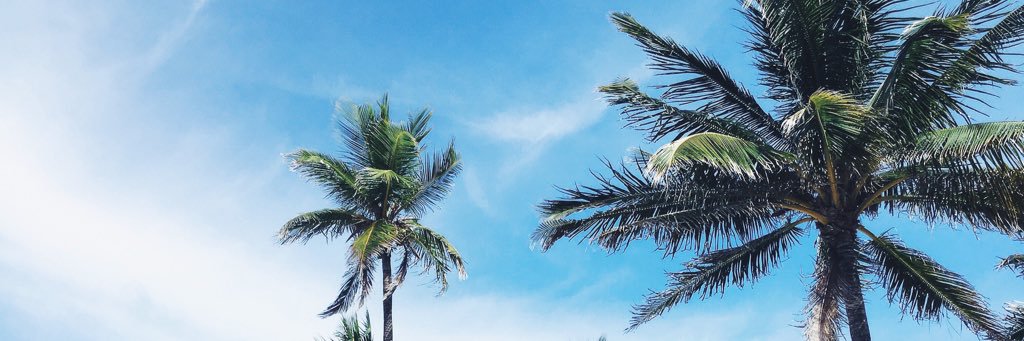 juliarosander_'s profile banner image