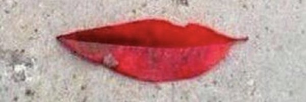 paolo97745638 Profile Banner
