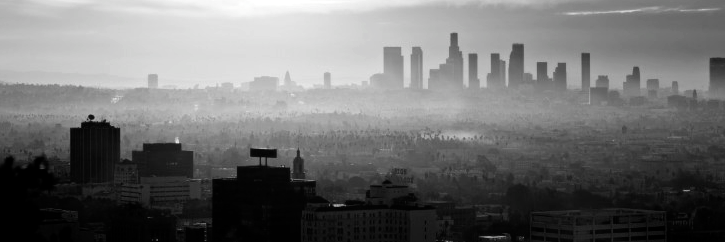 S C O T T  K U K L A banner