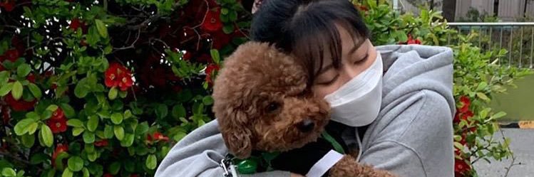 팡팡 banner