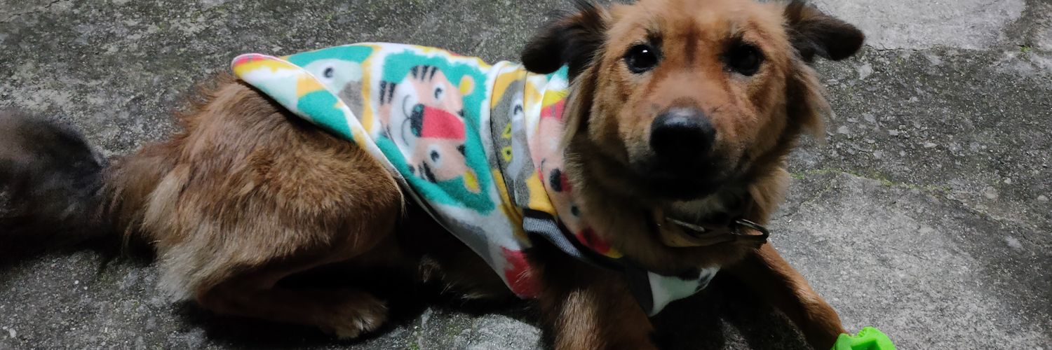 🤷🏽‍♀️ banner