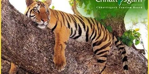 thisisakanksha's profile banner image