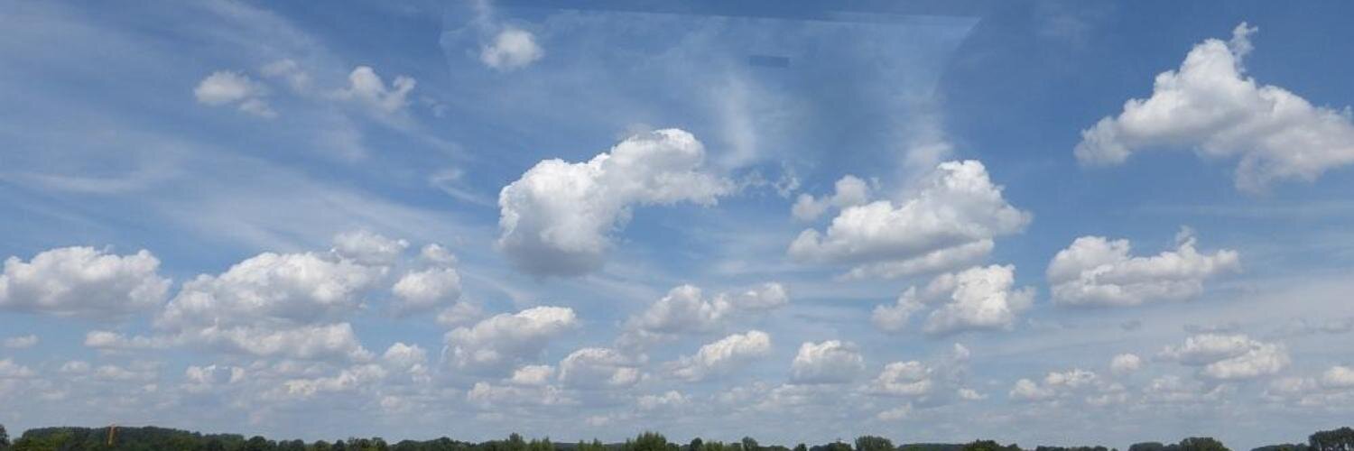 Rainer Bartel banner