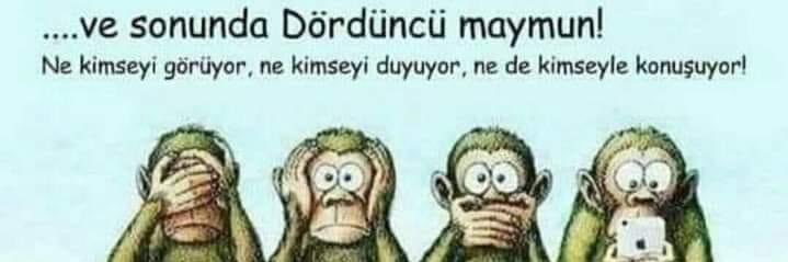 serpil kutlu banner
