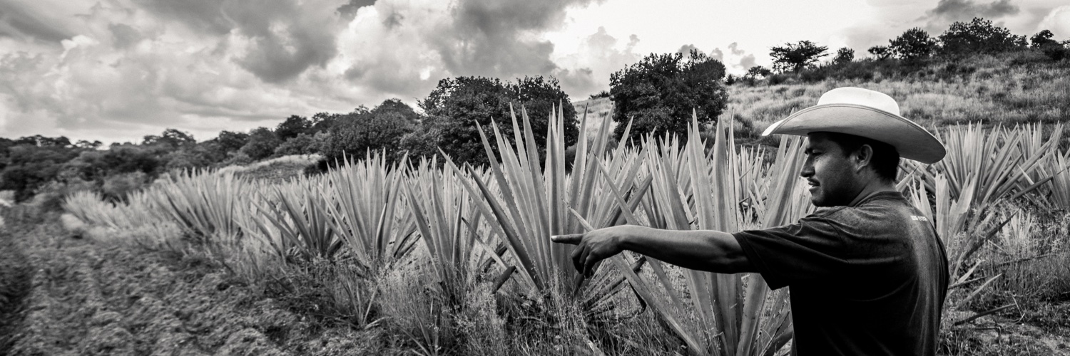 mikearce's profile banner image