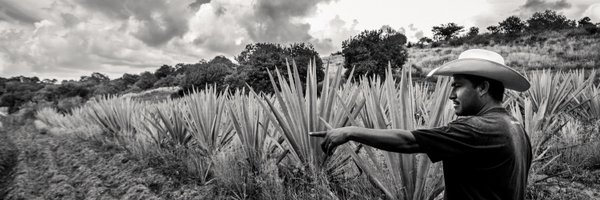 mikearce Profile Banner
