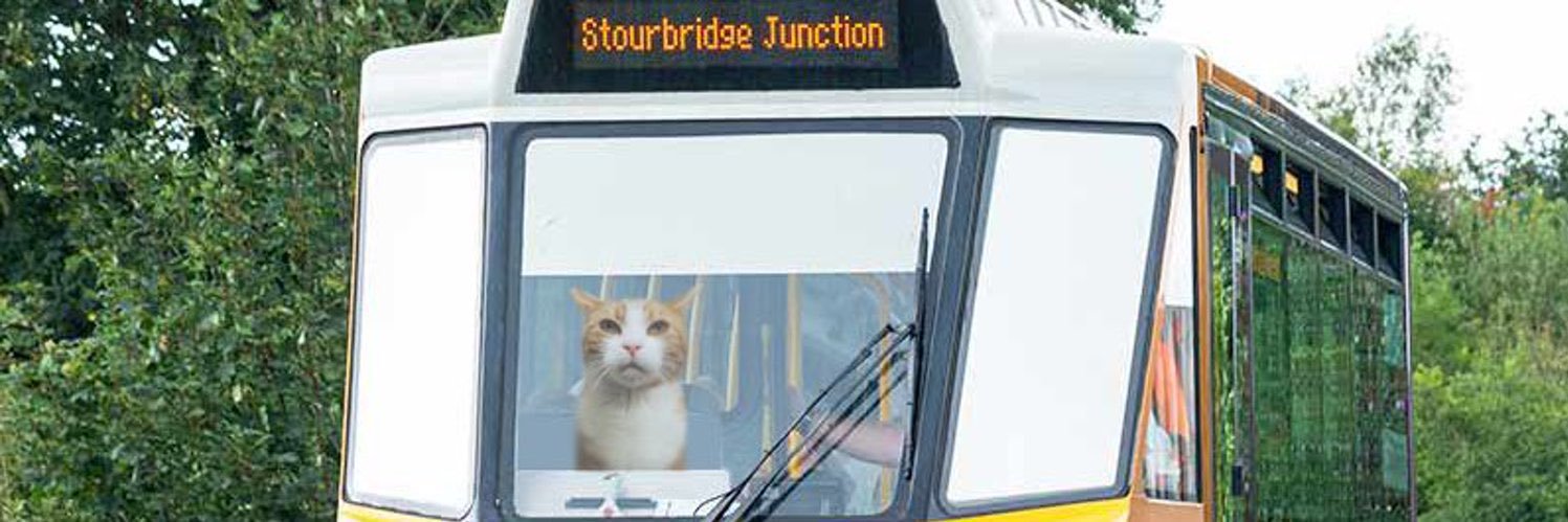 George The Stourbridge Junction Station Cat's banner