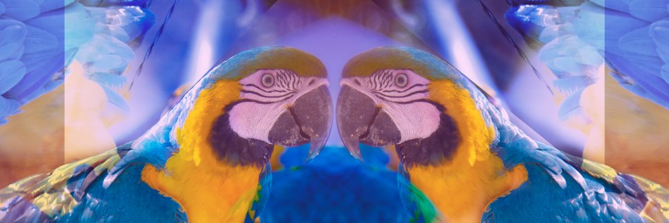 Descompon's profile banner image
