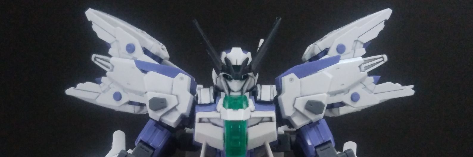 RLiger1's profile banner image