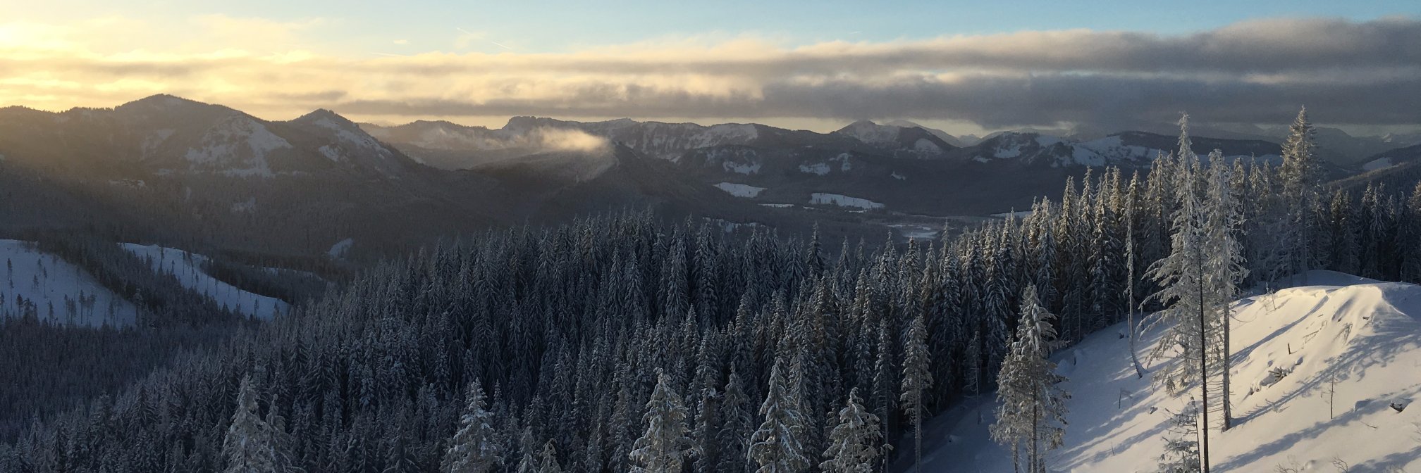 Sarah • @codingchaos@vis.social banner