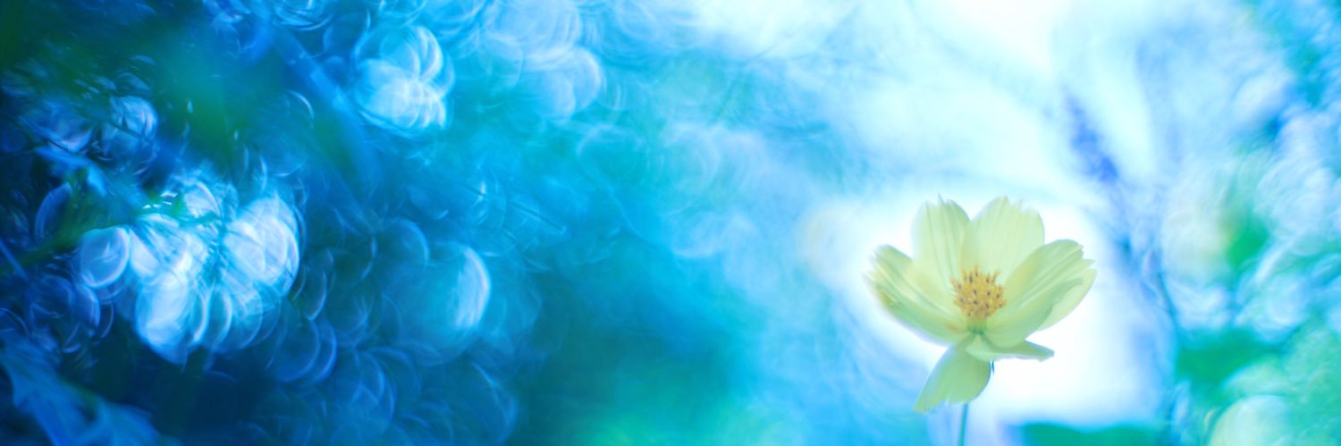 may527_'s profile banner image