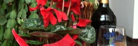 jackiehorsfall's profile banner image
