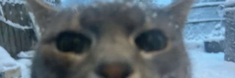 _vasconcelosz's profile banner image