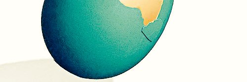 _permanence's profile banner image