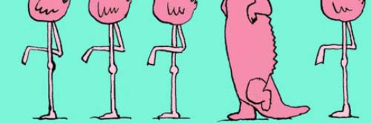 Anagaldeano12's profile banner image