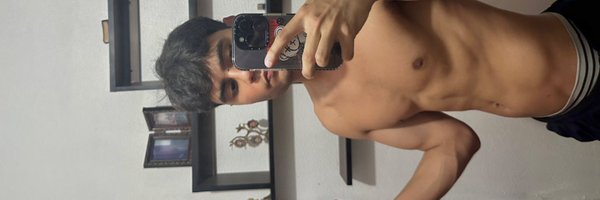 geekpornce Profile Banner