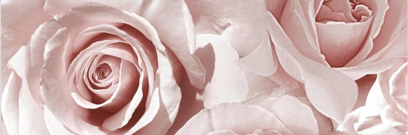 honorfermor's profile banner image