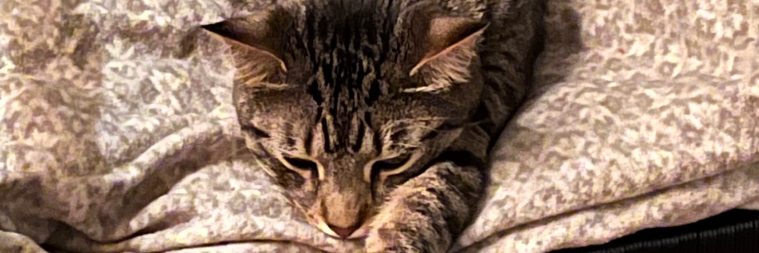 JessLynn1997's profile banner image