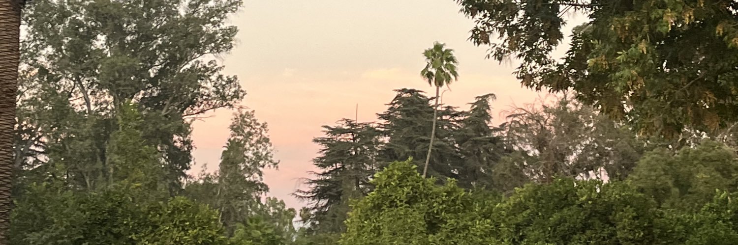 itsdreababyy's profile banner image