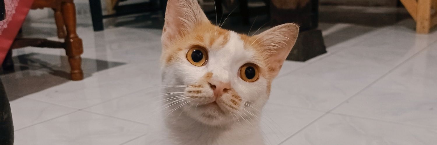Yulisp_'s profile banner image