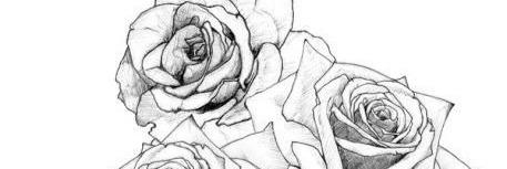 heartoutkate's profile banner image