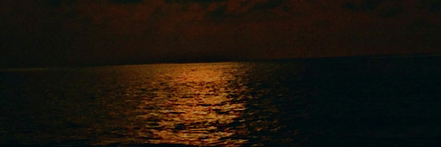 auliarasky49's profile banner image